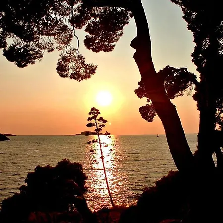 Apartment Gustav - Sea View With Balcony Cavtat
