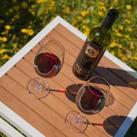 Gustav - Sea View With Balcony * Cavtat